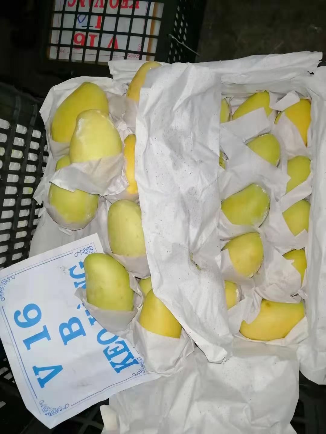 柬埔寨高乐蜜芒果批发