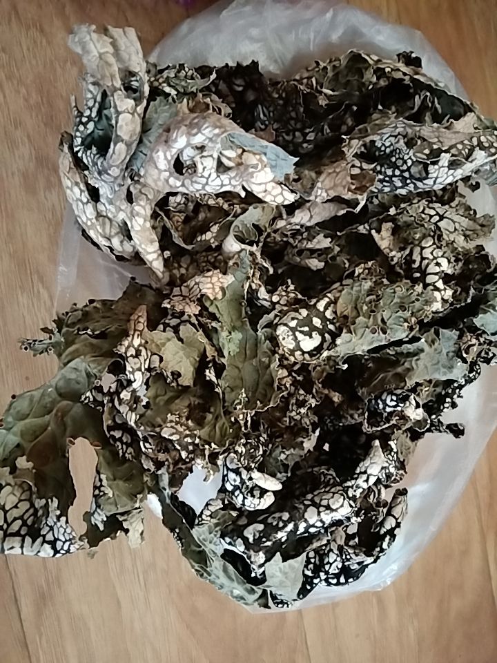 树花菜 野生树花，树皮批发。有意者请联系