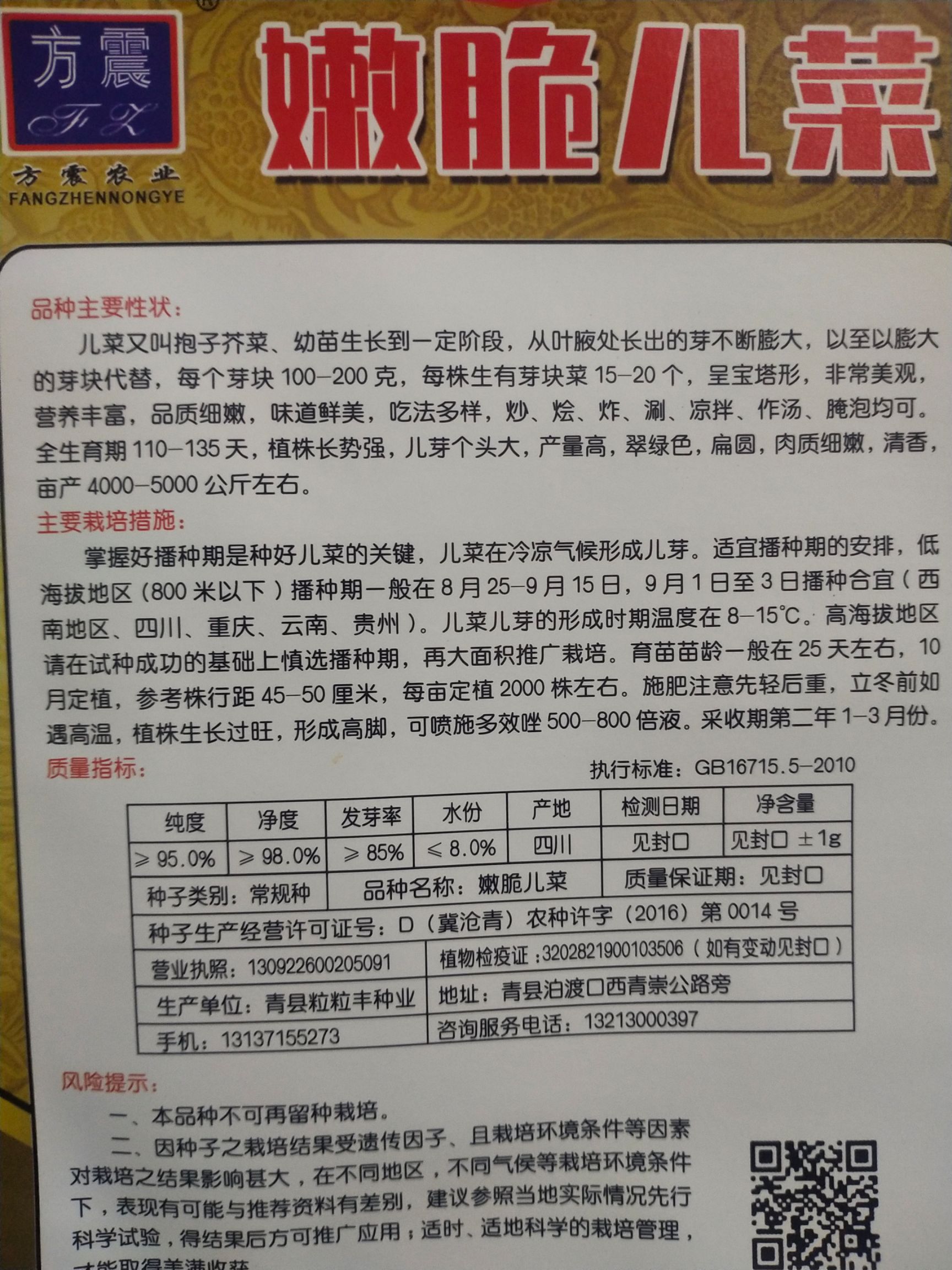 芥菜种子 嫩脆儿菜又叫抱子芥菜 植株长势，儿芽个头大，产量