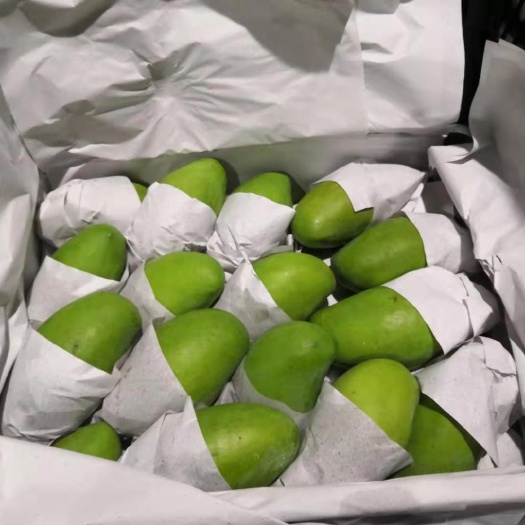 凭祥市越南柬埔寨新品玉芒-香芒