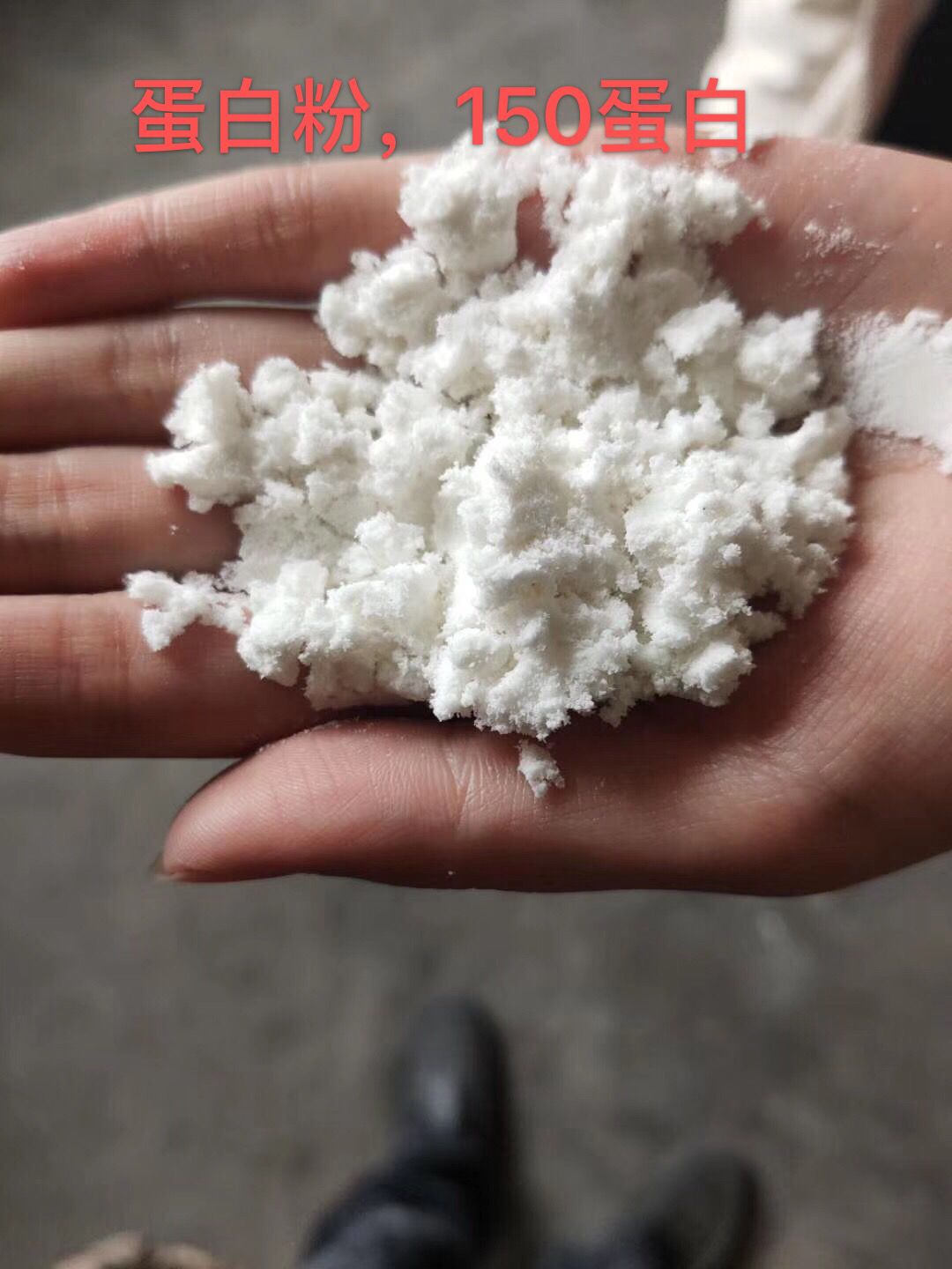 蛋白质补充饲料  蛋白粉。提蛋白首先