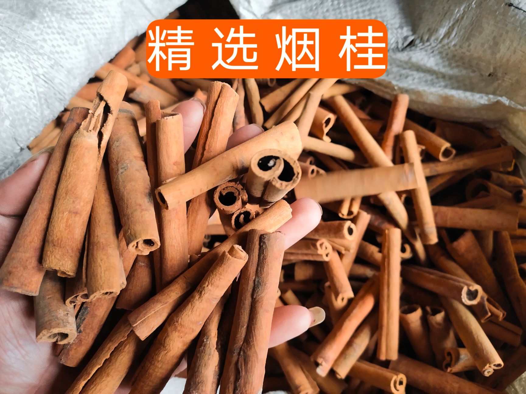 烟仔桂  桂皮一手货源精选烟桂肉桂中通大通桂通桂碎批发