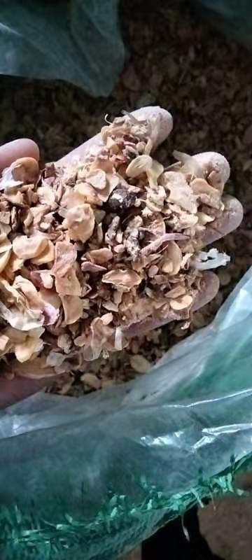 干蒜 金乡饲料蒜片