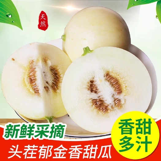 西安冰糖子甜瓜  陕西阎良甜瓜新鲜现摘冰糖小白皮香瓜应季水果脆甜香蜜瓜现货包邮