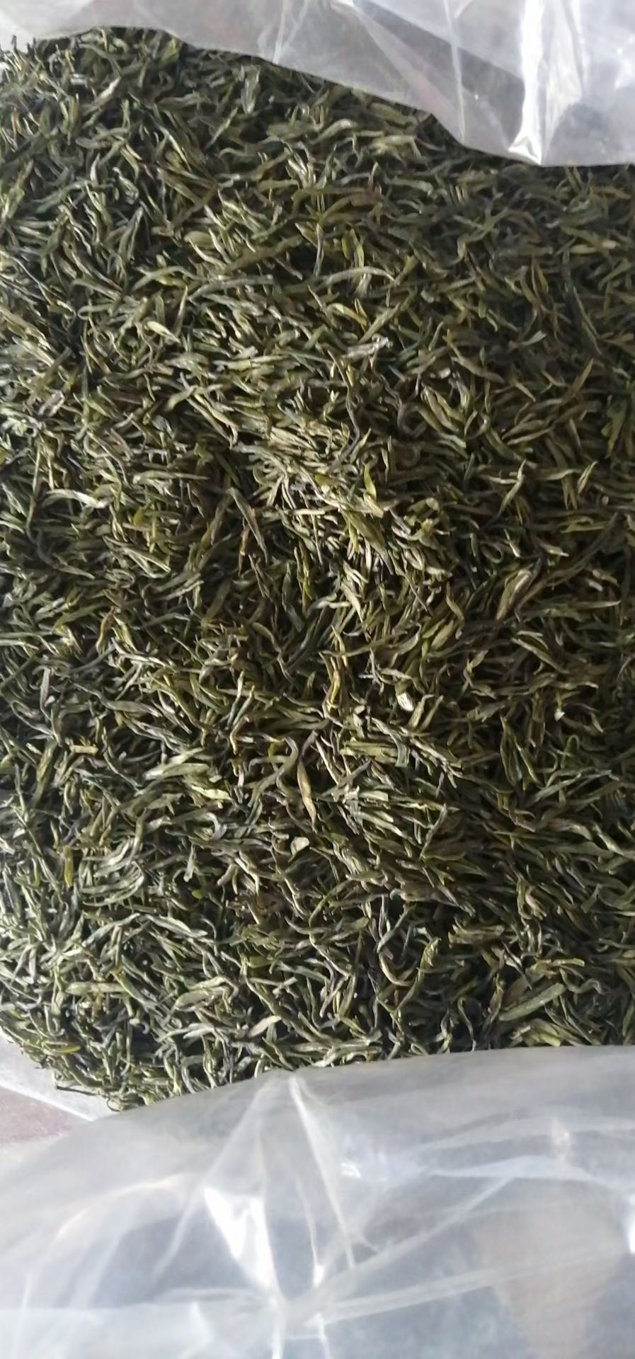 高山云雾绿茶，茶园自采，精细加工，有毛尖毛峰绿茶等多品类