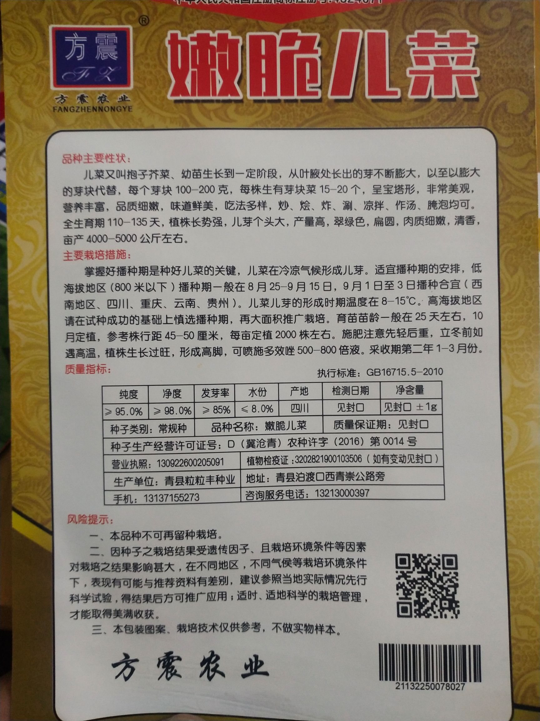 芥菜种子 嫩脆儿菜又叫抱子芥菜 植株长势，儿芽个头大，产量