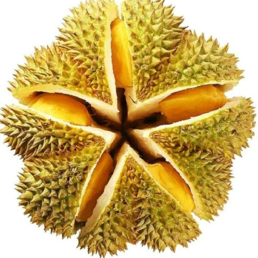 广州泰国金枕榴莲新鲜榴莲