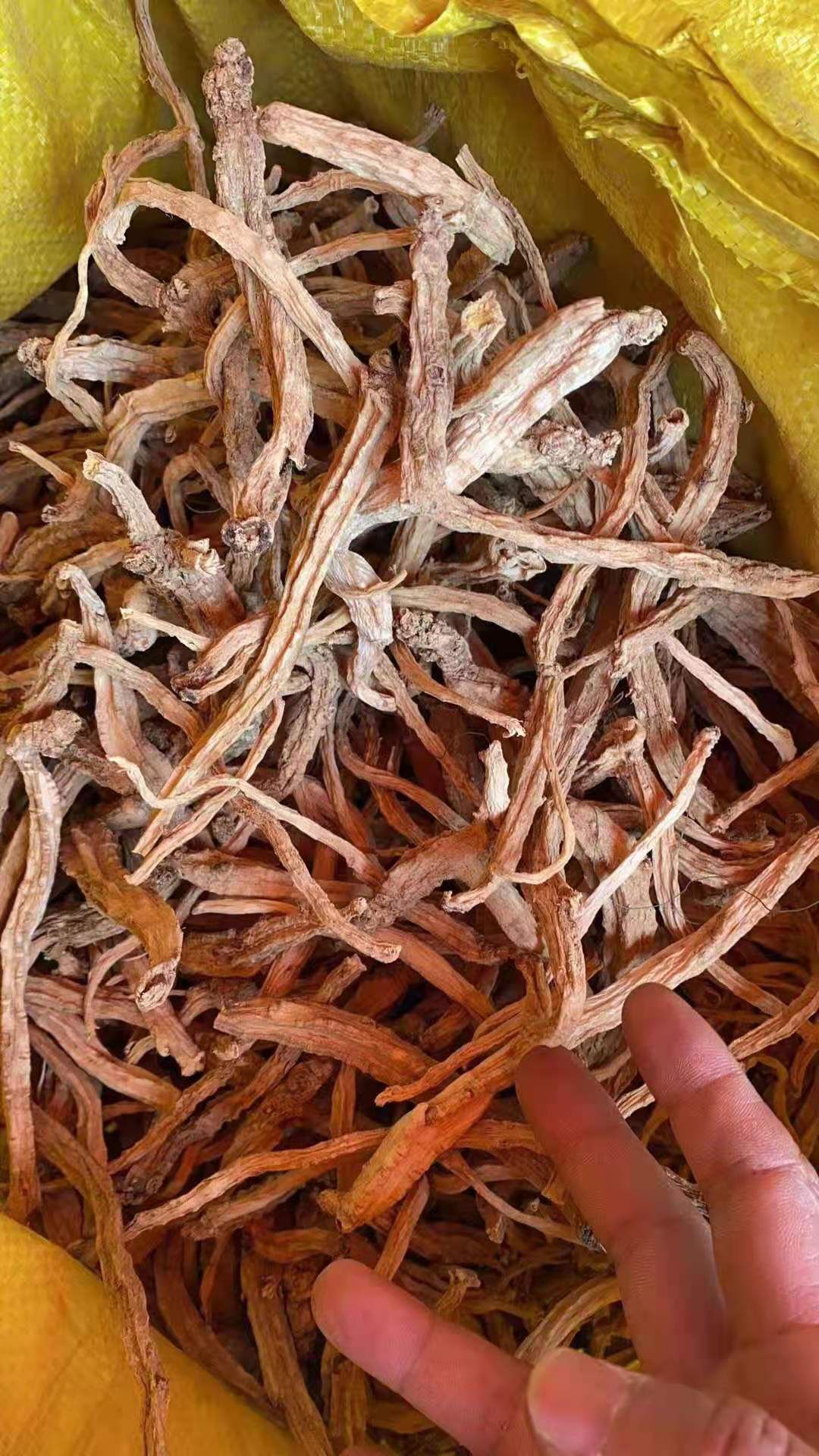 潞党参  土党参  水洗干货