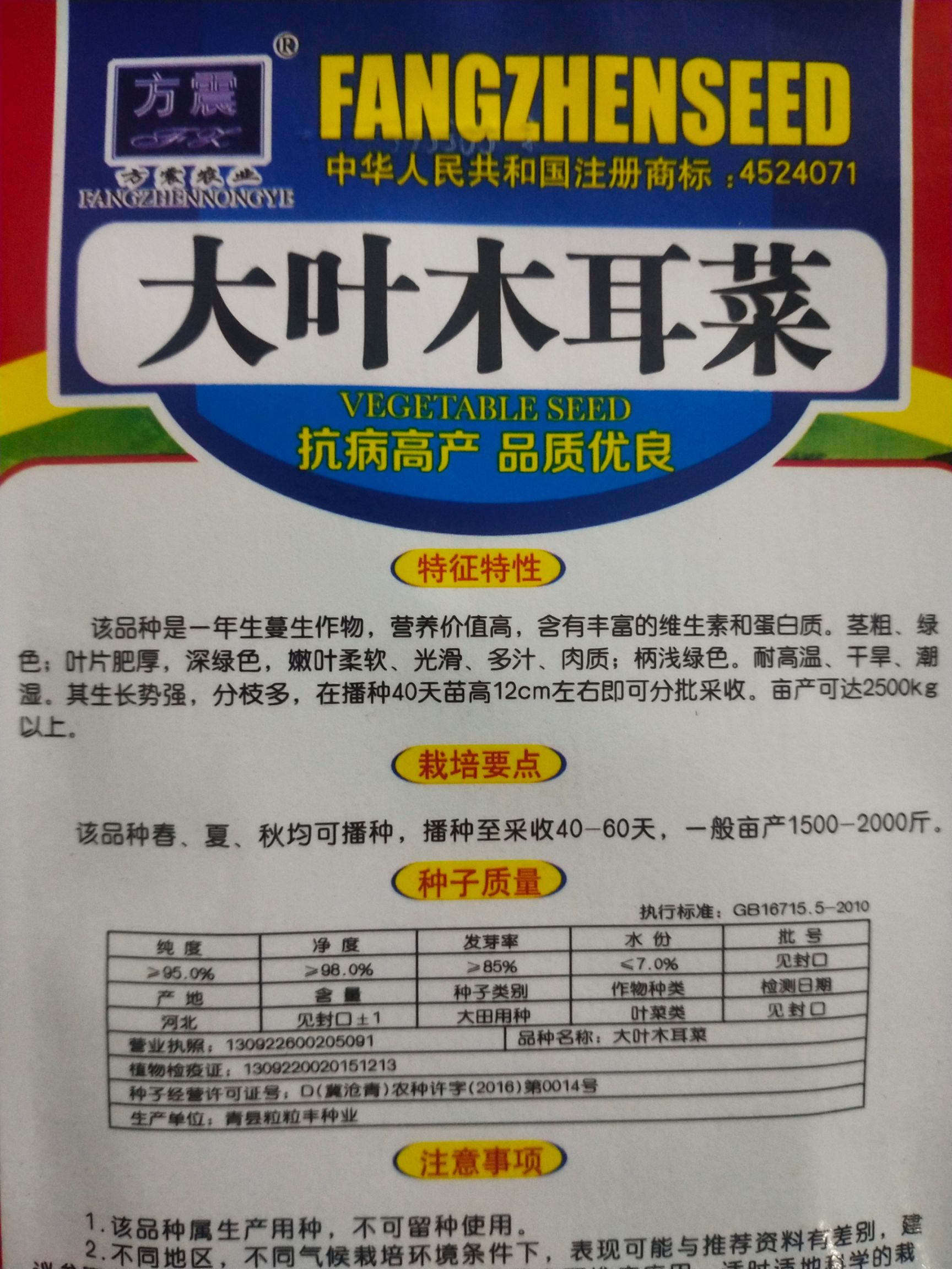 木耳菜种子 大叶木耳菜 叶片肥厚，深绿色，嫩叶柔软、光滑、多