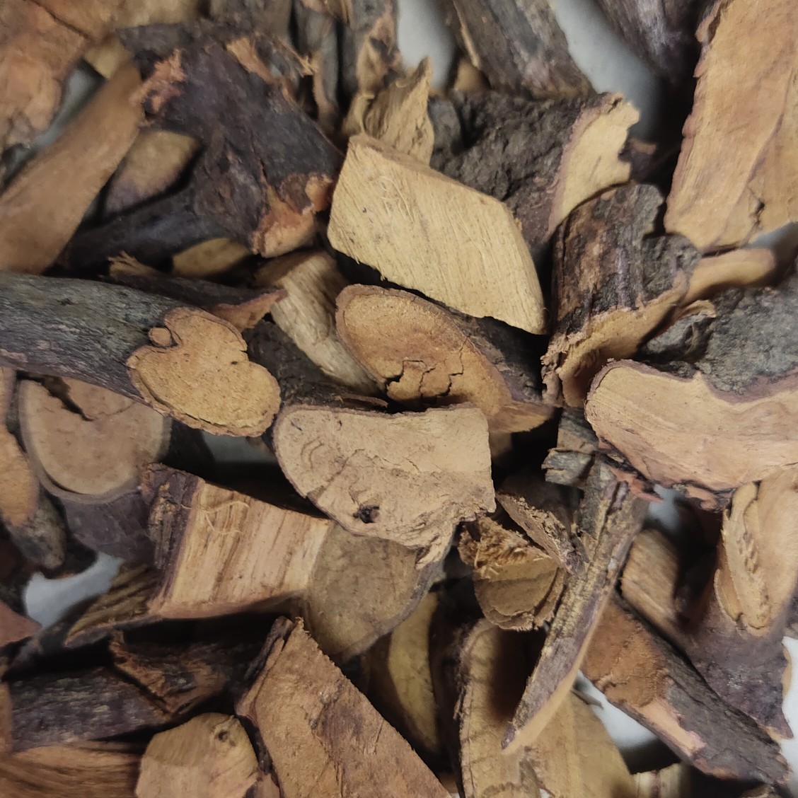 [铁包金批发]铁包金 老鼠耳 小叶铁包金 乌龙根 勾儿茶 老鼠草价格11