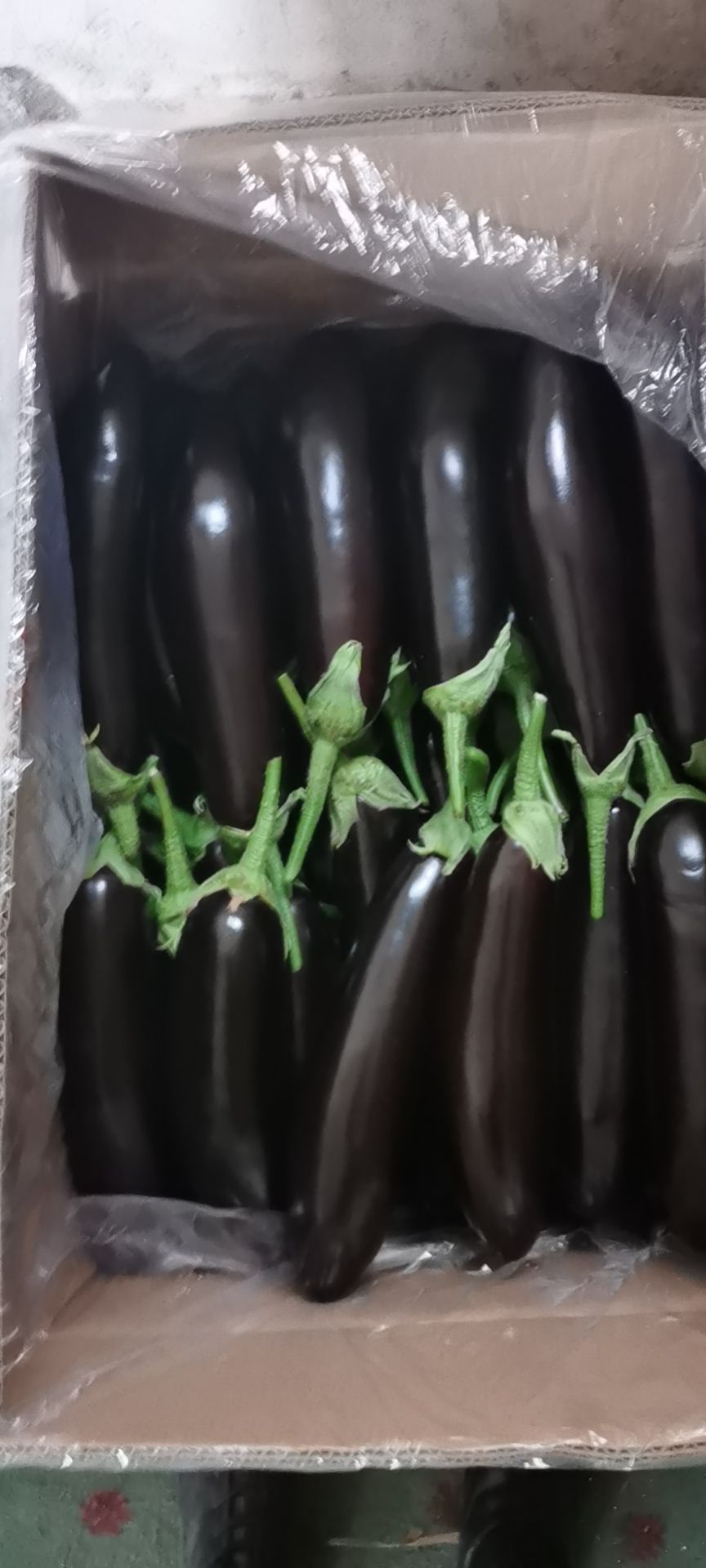 紫长茄  茄子大量现货价格便宜