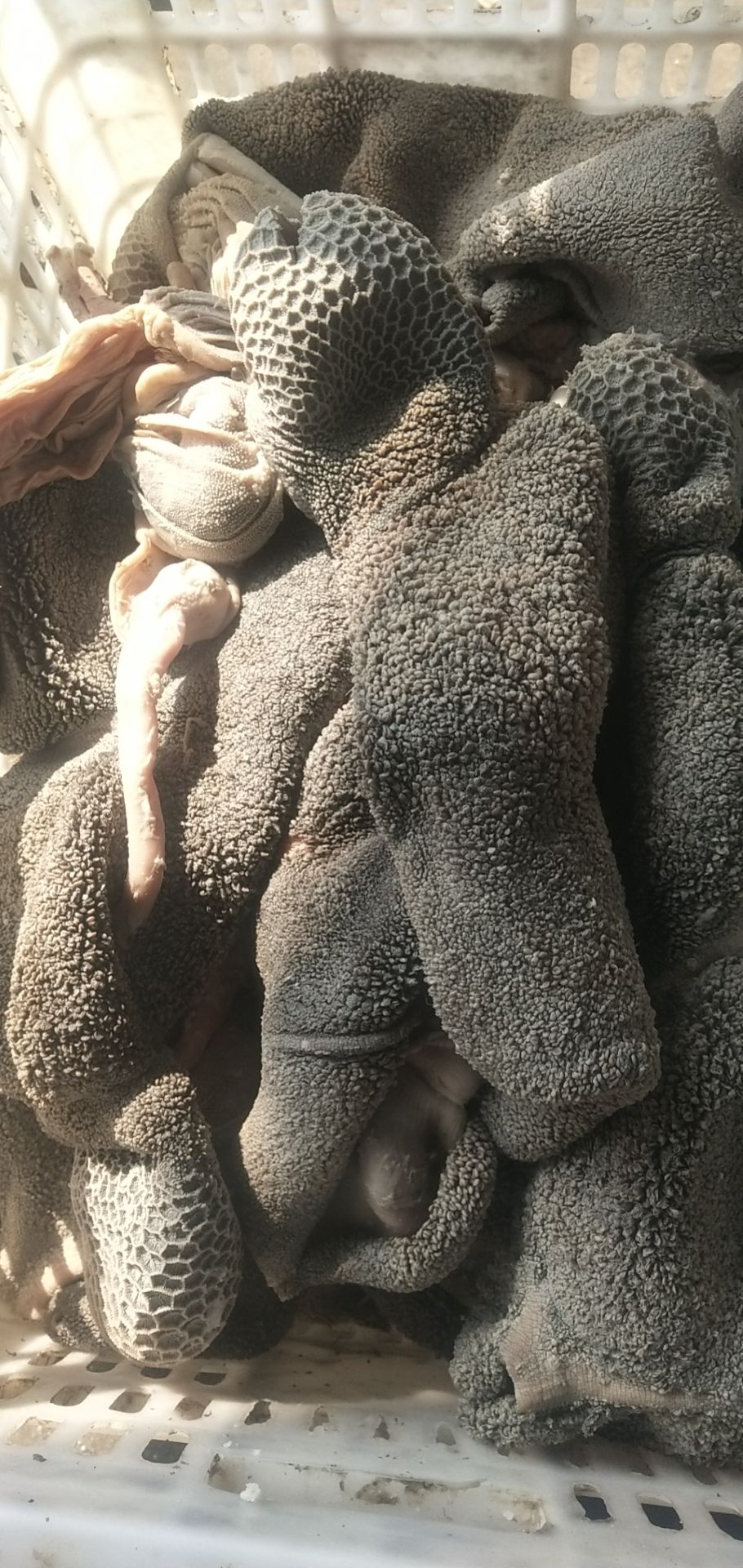 羊肚  水煮全熟五香羊毛肚