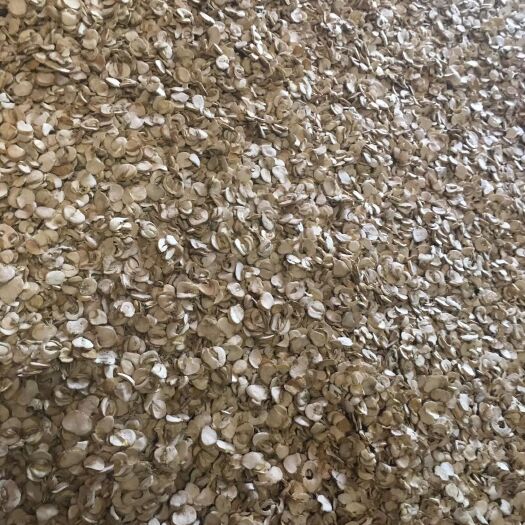 巴东县贝母  大量的货源，马上上市