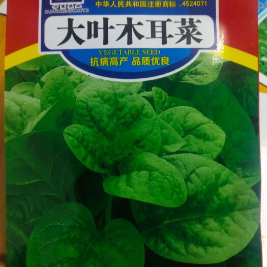 木耳菜种子 大叶木耳菜 叶片肥厚，深绿色，嫩叶柔软、光滑、多