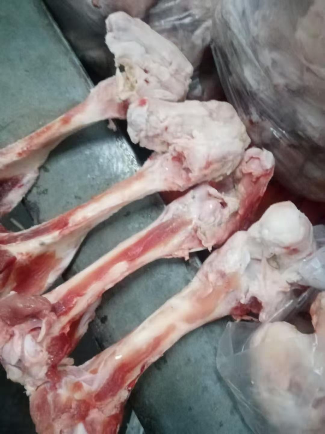 猪骨头  后肘骨带骨髓，两头有肉每天都有鲜货，**饭店食堂自助餐等！