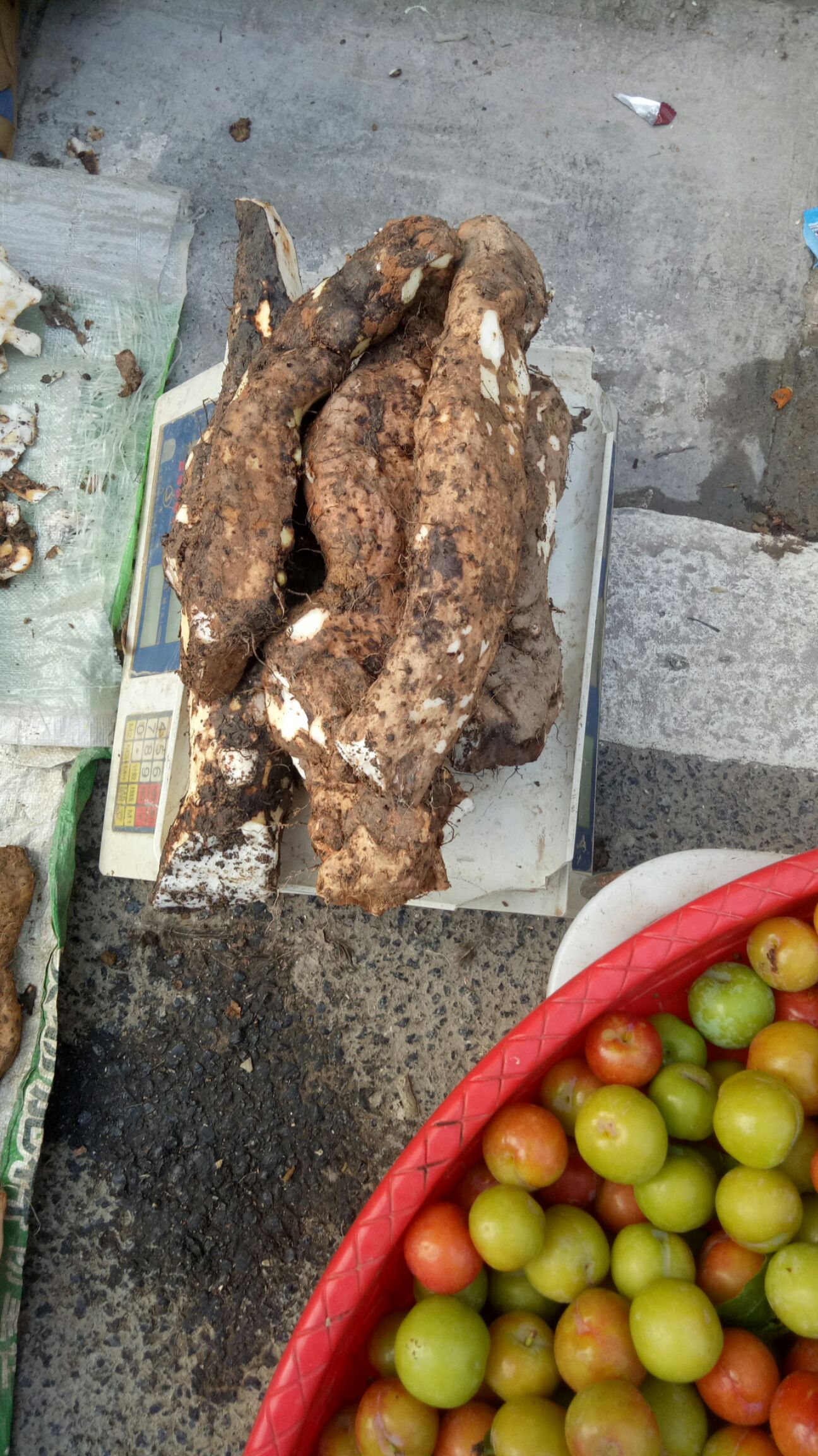 麻山药  都是天然的山药，假一发十倍