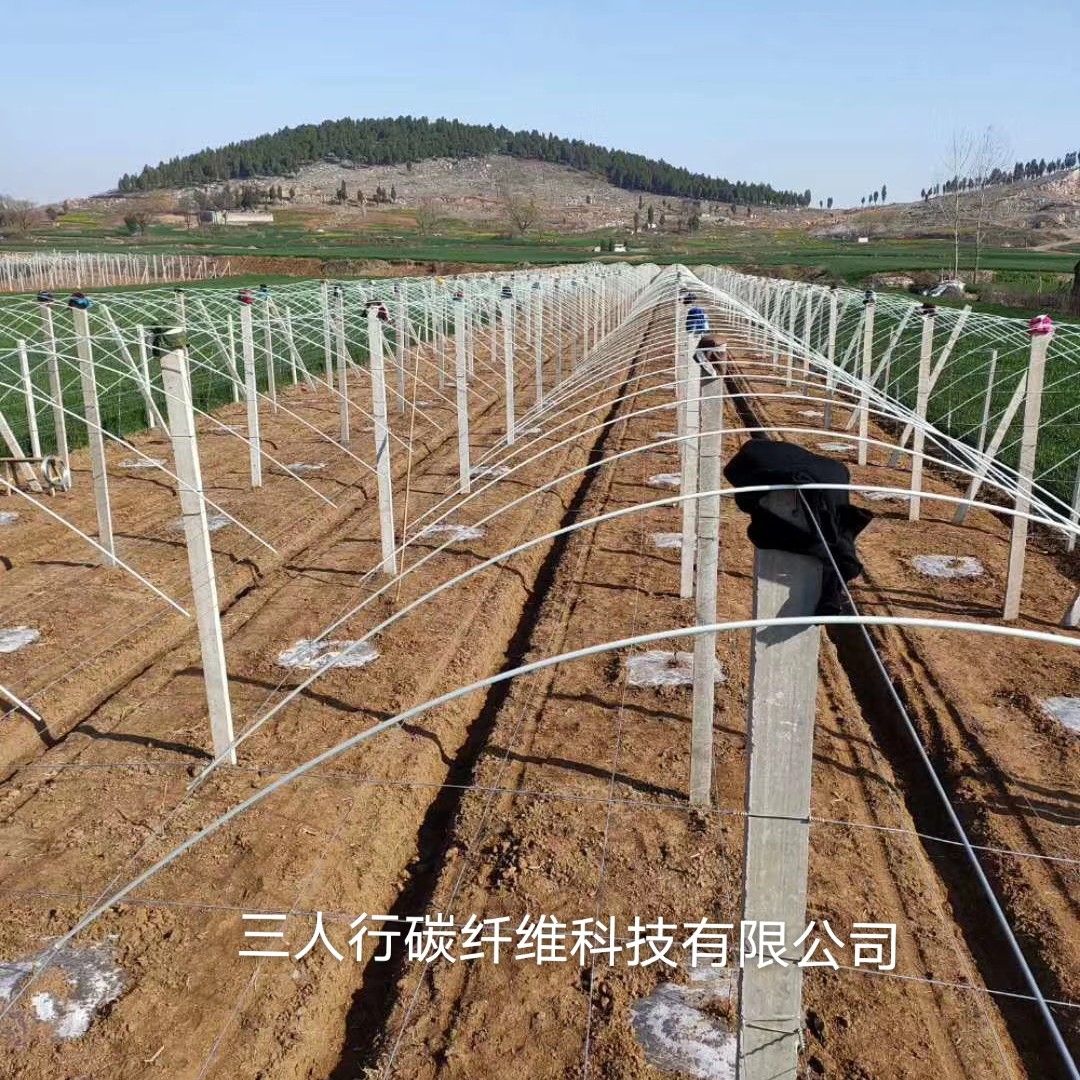 小拱棚杆 种植大棚 玻璃纤维立柱 拱棚保温棚骨架 代替竹片 钢管 蔬果支撑架