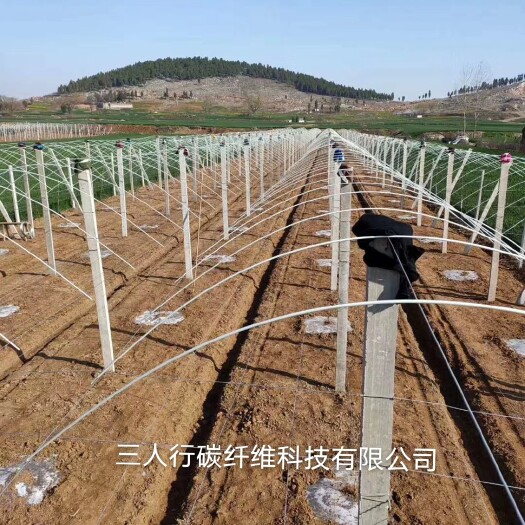 东莞市小拱棚杆 种植大棚 玻璃纤维立柱 拱棚保温棚骨架 代替竹片 钢管 蔬果支撑架