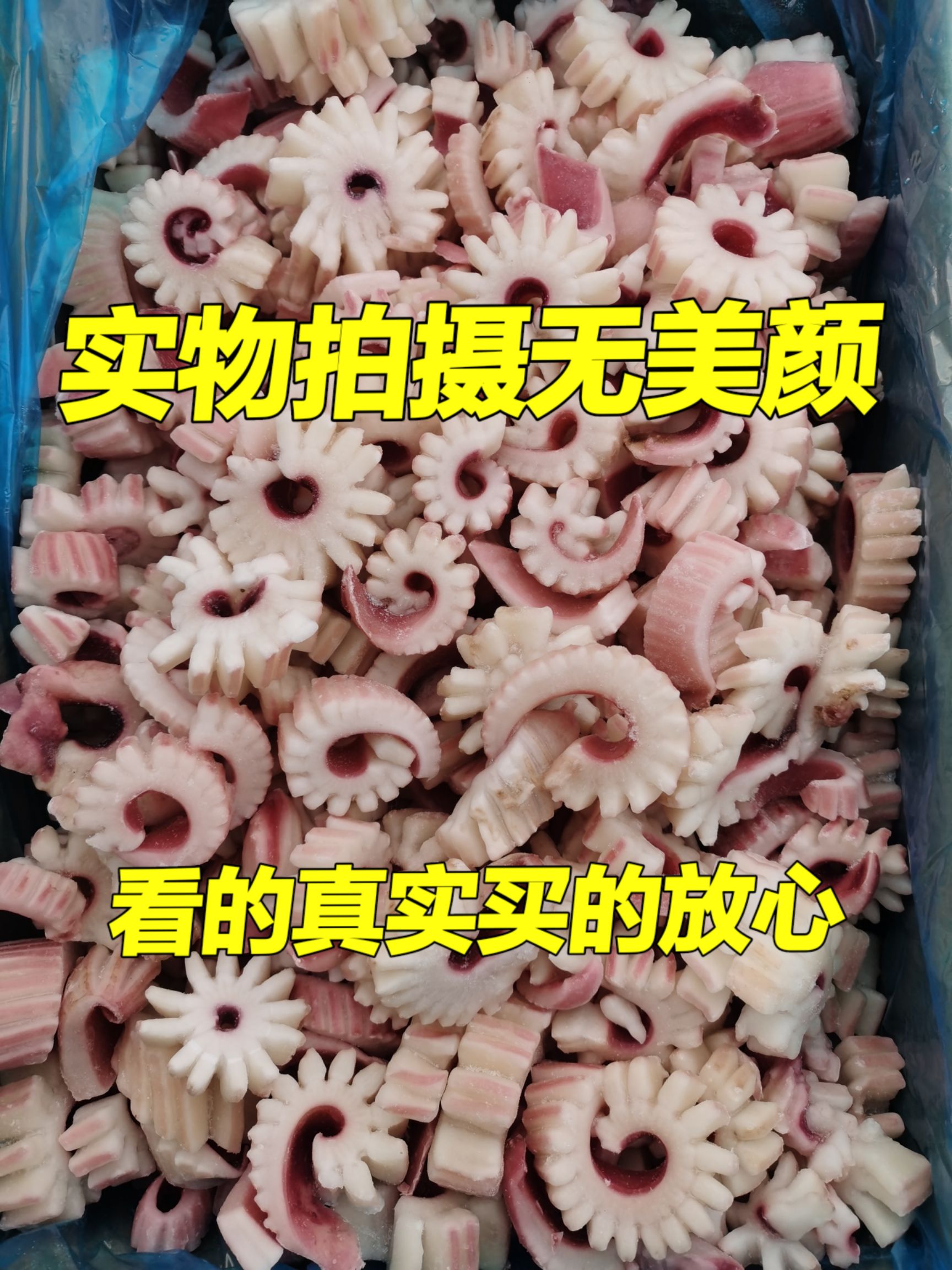  鱿鱼鱿鱼花鱿鱼齿轮花新鲜速冻干冻无冰餐厅酒店炒菜火锅食材批