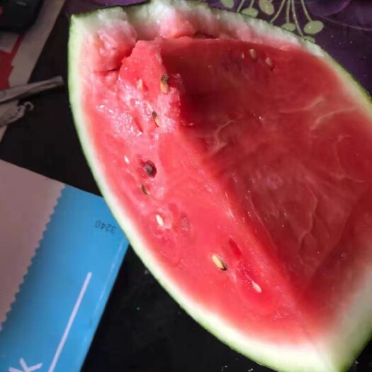 南宁黑美人西瓜  广西南宁崇左地区西瓜大量上市