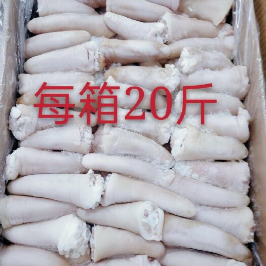 广州新鲜冷冻短猪尾20斤猪尾巴红烧卤味好食材