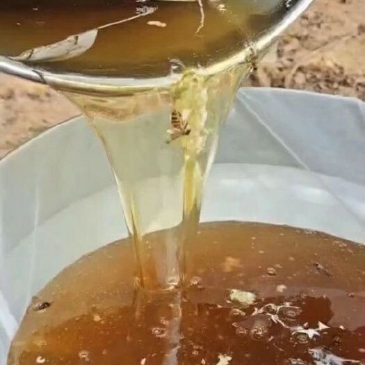 高州市自家养的中蜂荔枝龙眼蜜