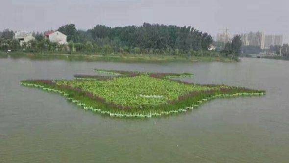 生态浮床  美化环境，污水治理的效果