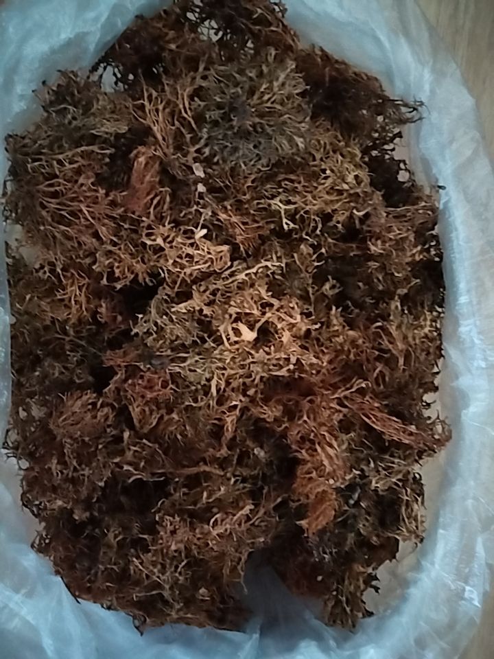 树花菜 野生树花，树皮批发。有意者请联系