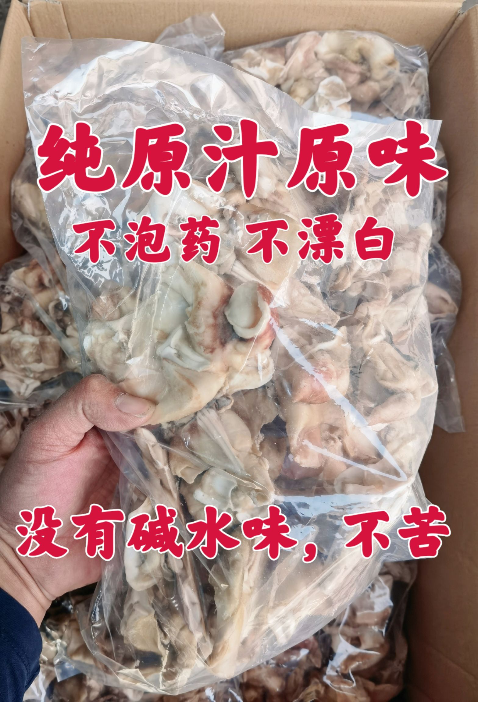 单冻原汁鱿鱼脖 新鲜速冻无冰衣 脆爽劲道 烧烤穿串 餐饮必