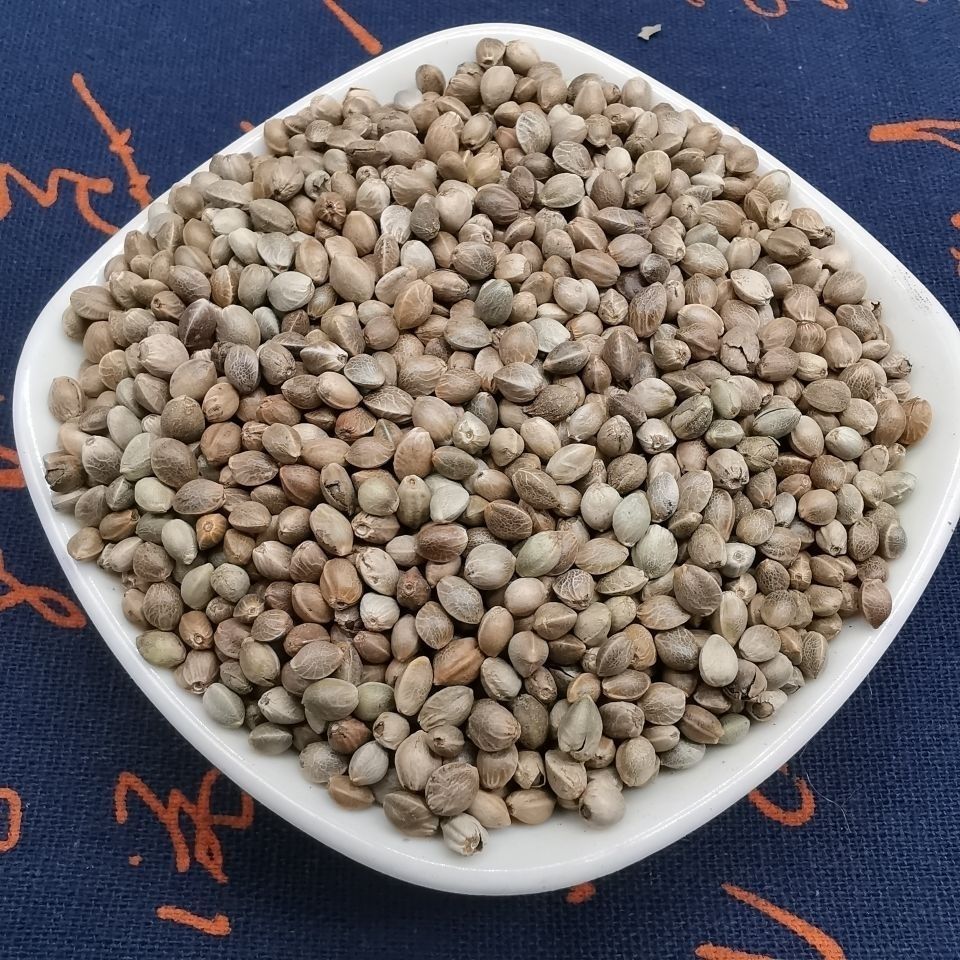 火麻籽 火麻仁火麻子当季新货各种规格大货批发零售质量保证