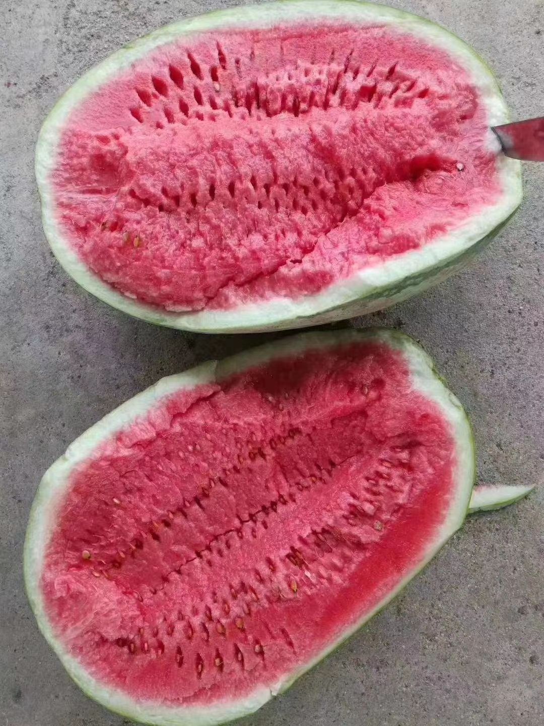 甜王西瓜，甜度高，质量好，耐运输，产地直销，