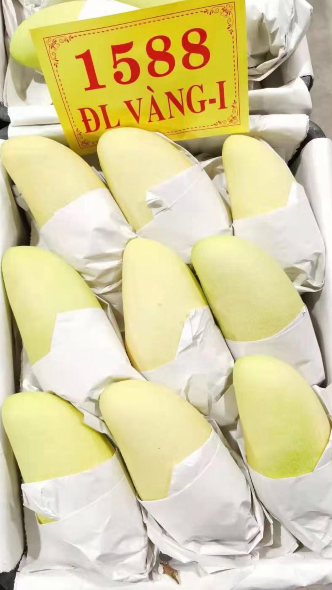 越南白金芒—金煌芒批发