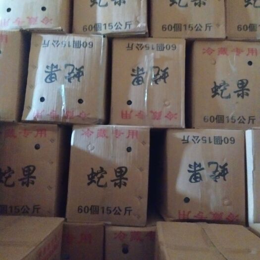 深州市花牛苹果 色泽深红光亮