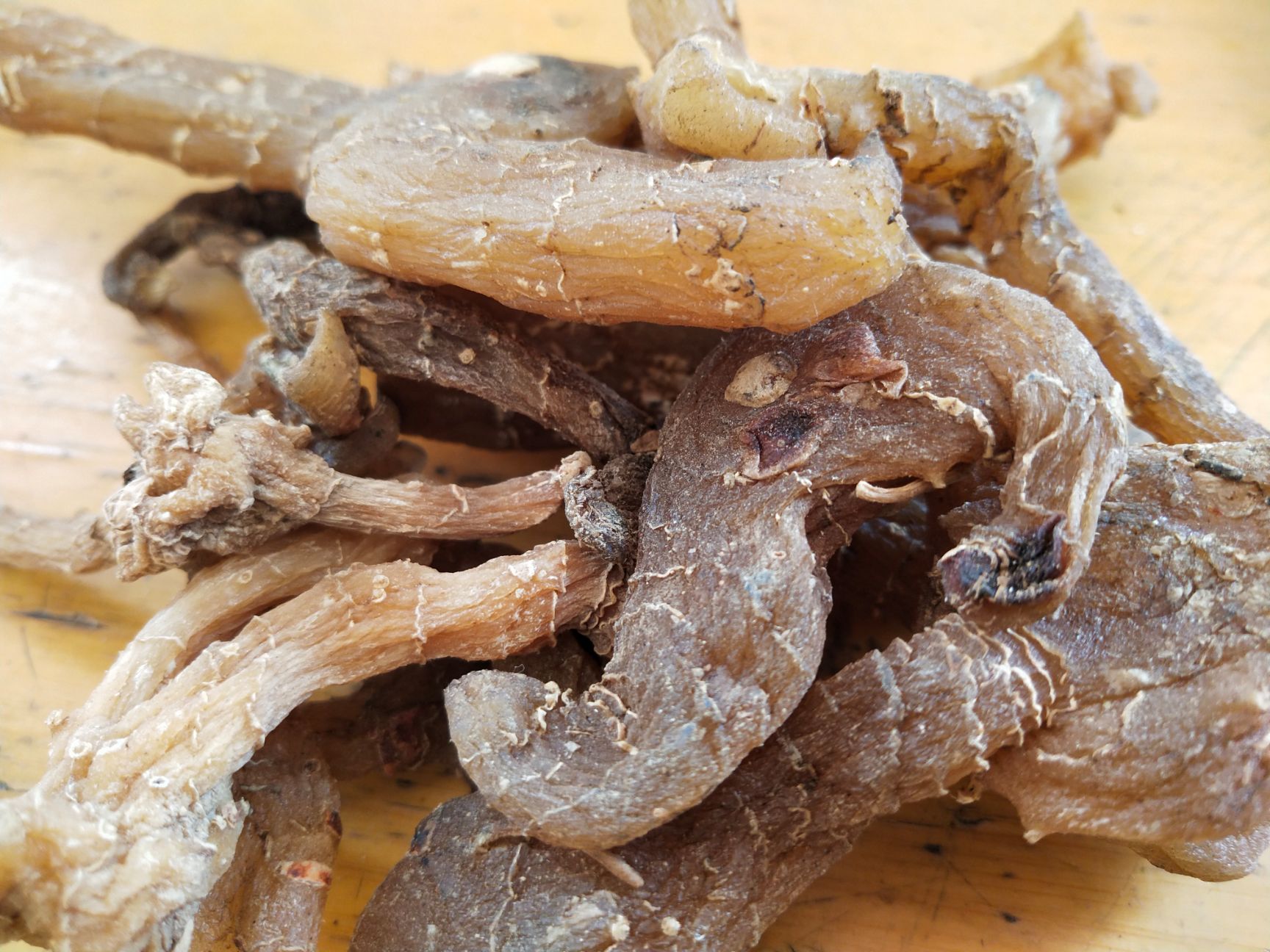 甜黄精，鸡头黄精个子统货无硫干品