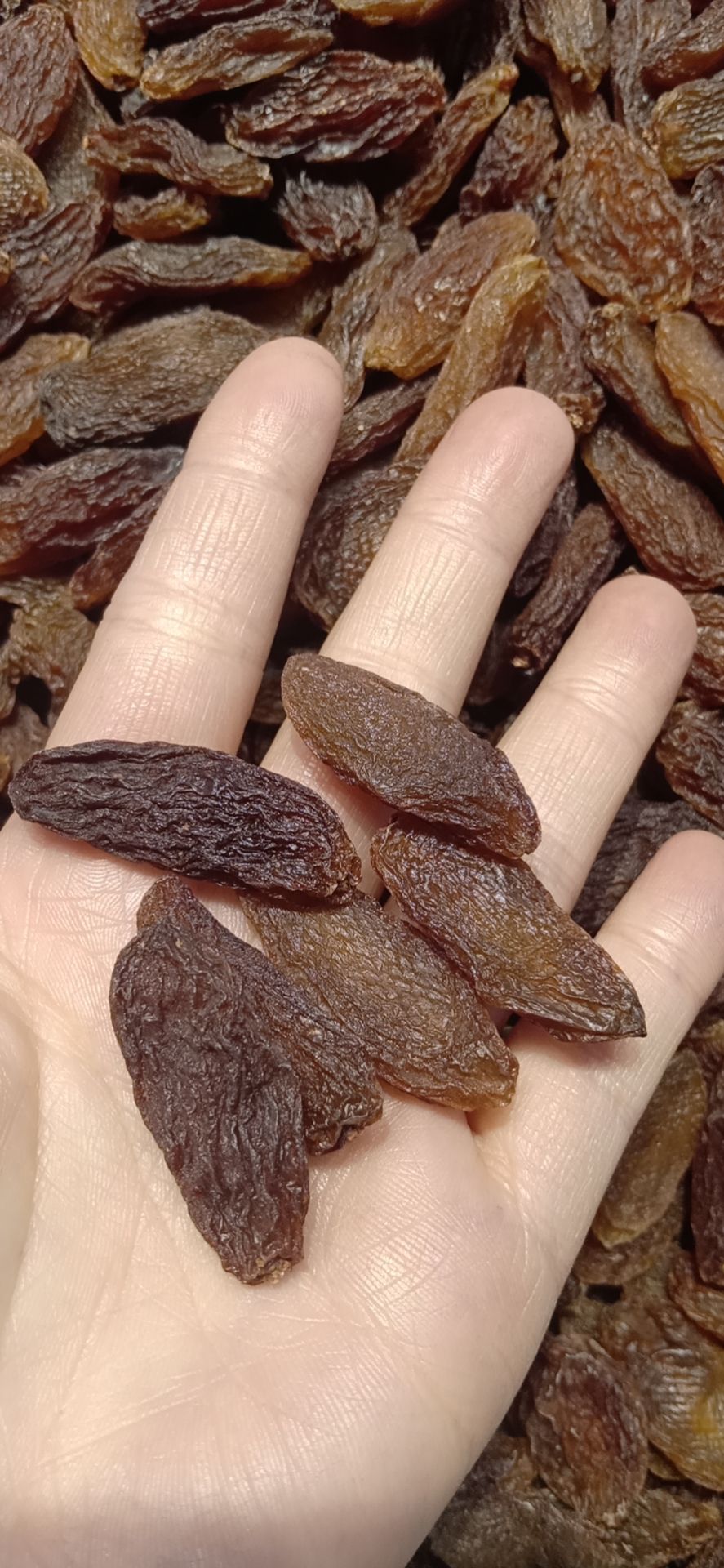 红葡萄干  新疆吐鲁番市红香妃葡萄干