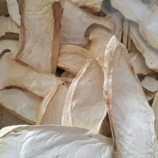 干杏鲍菇大片，质优价廉，