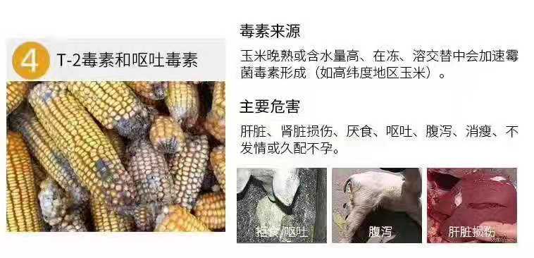 微生物饲料添加剂  脱霉剂，养殖防霉脱霉佳品，改性蒙脱石，爆品脱霉剂，走量款