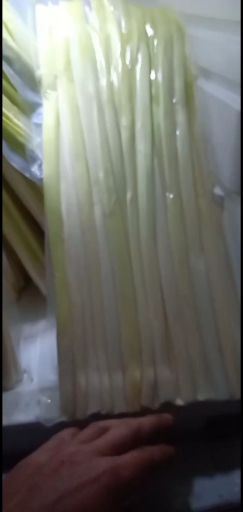 蒲菜 微湖天然浦菜