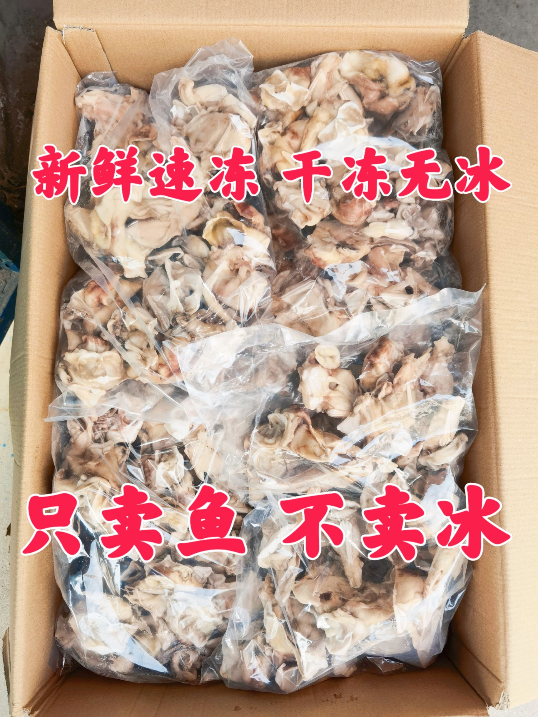 单冻原汁鱿鱼脖 新鲜速冻无冰衣 脆爽劲道 烧烤穿串 餐饮必