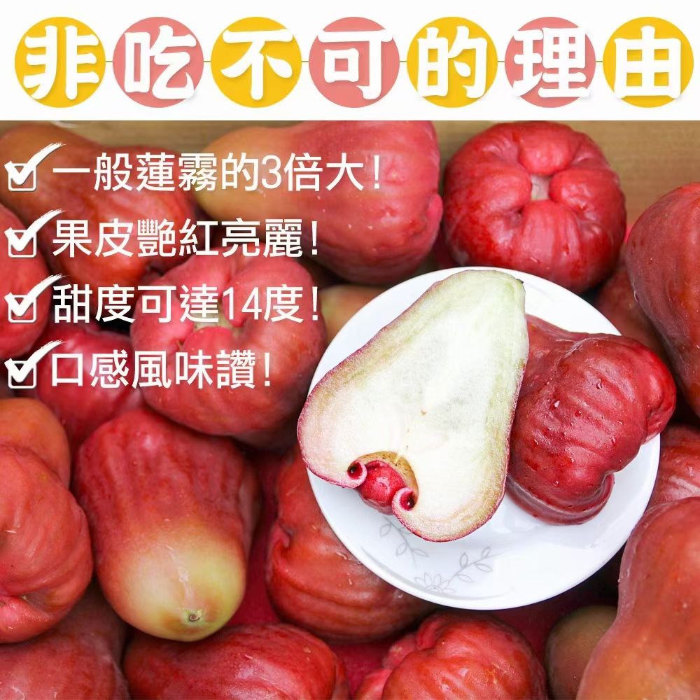 黑金刚莲雾苗  莲雾果苗，黑金刚莲雾  大叶红莲雾 新品种黑糖芭比莲雾苗