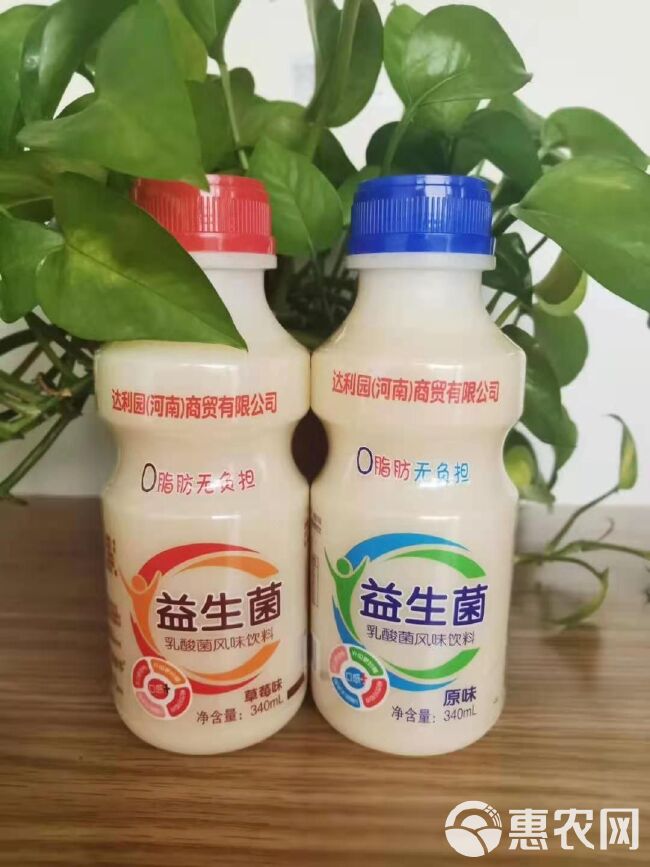 蓝莓汁  乳酸菌益生菌系列爆款产品，低价位招商，合适团购平台。