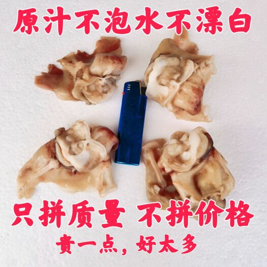 荣成市单冻原汁鱿鱼脖 新鲜速冻无冰衣 脆爽劲道 烧烤穿串 餐饮必