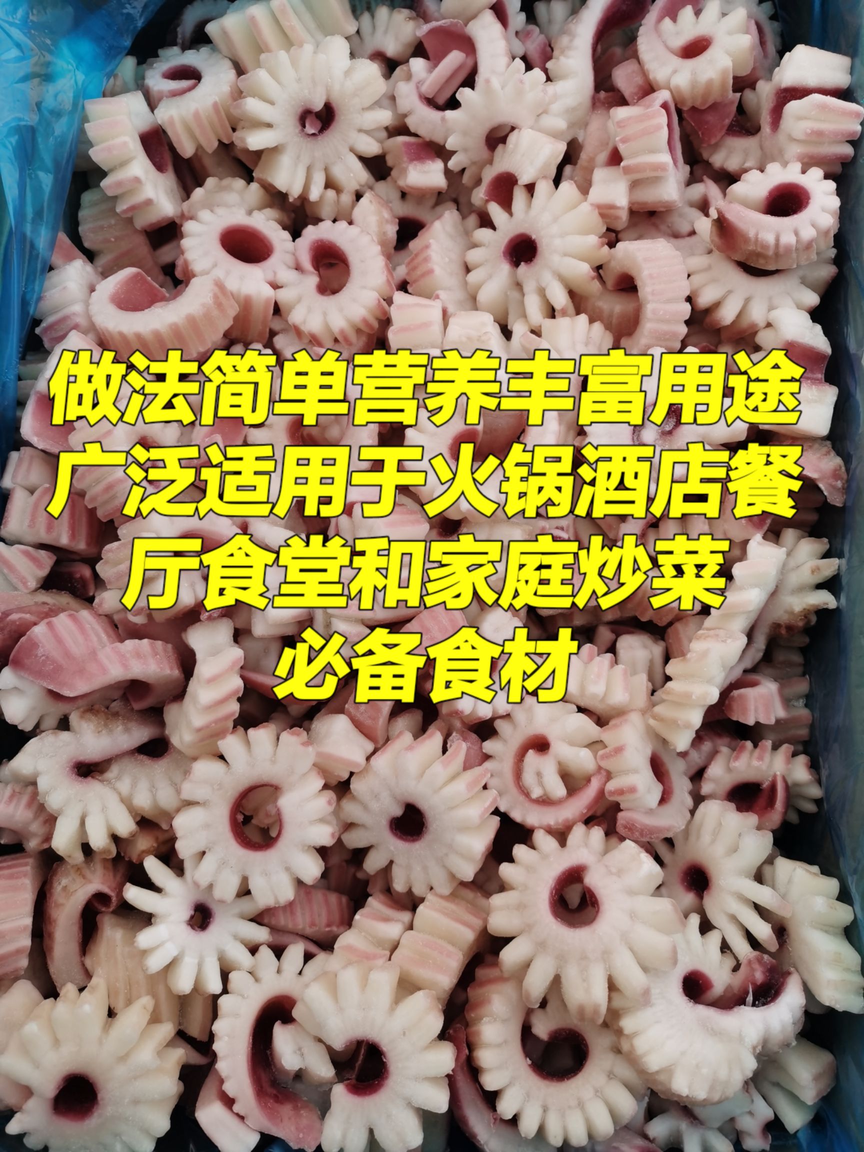  鱿鱼鱿鱼花鱿鱼齿轮花新鲜速冻干冻无冰餐厅酒店炒菜火锅食材批