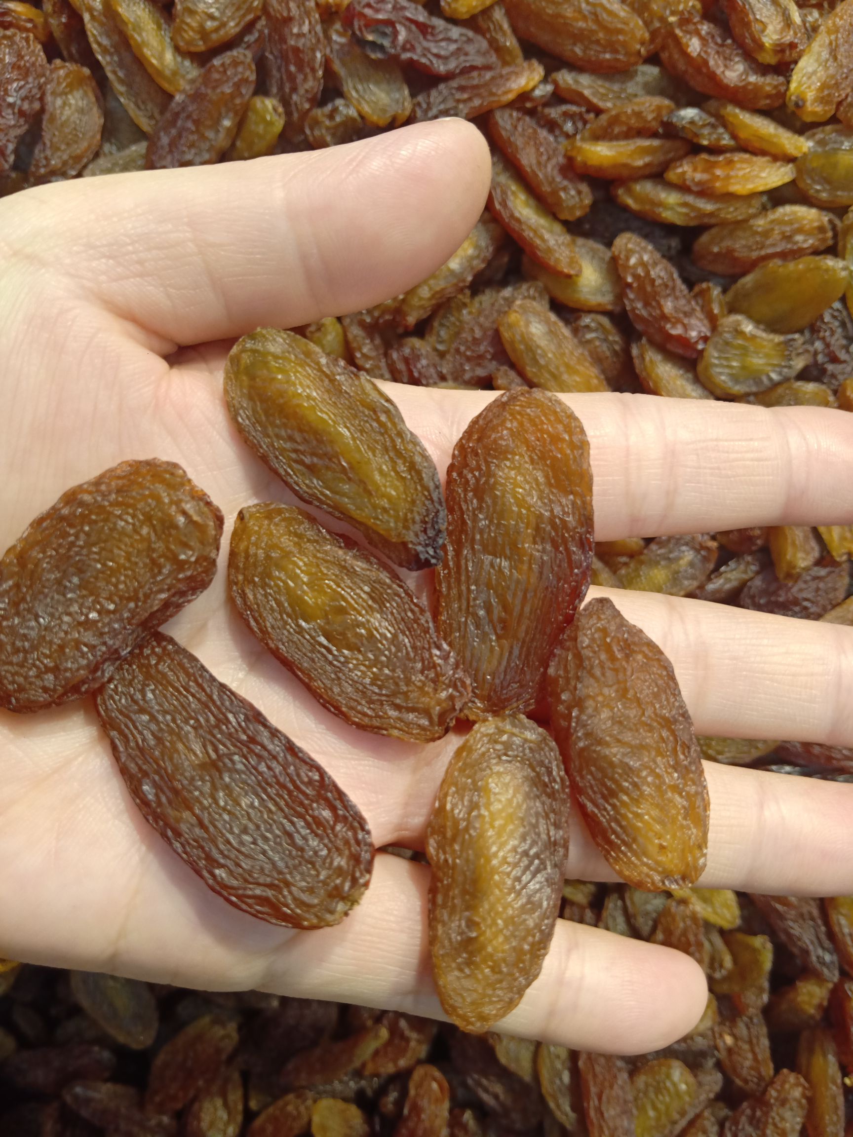 红葡萄干  新疆吐鲁番市红香妃葡萄干