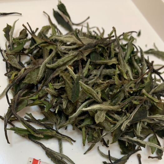 政和县白牡丹茶  白茶厂家直销无中间商出厂价格。