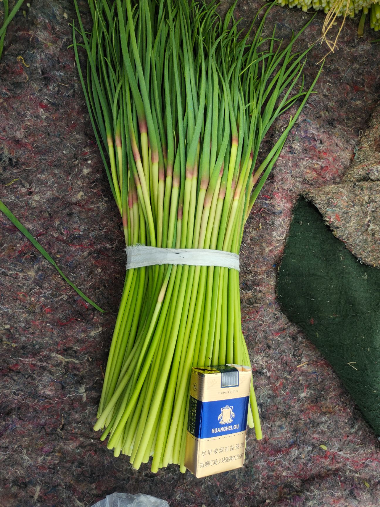 邳州红帽蒜苔（头岔中期苔）大量上市中