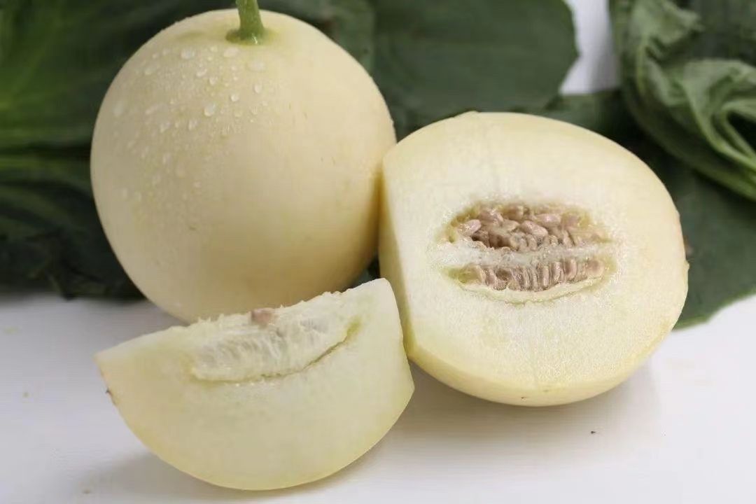 白玉甜瓜 阎良甜瓜