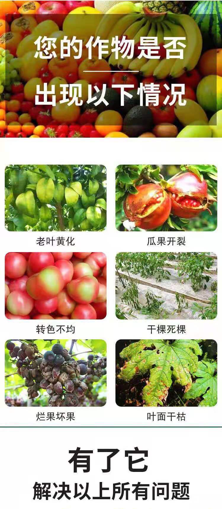 微量元素肥料  微量元素水溶肥，膨果上色，保花保果