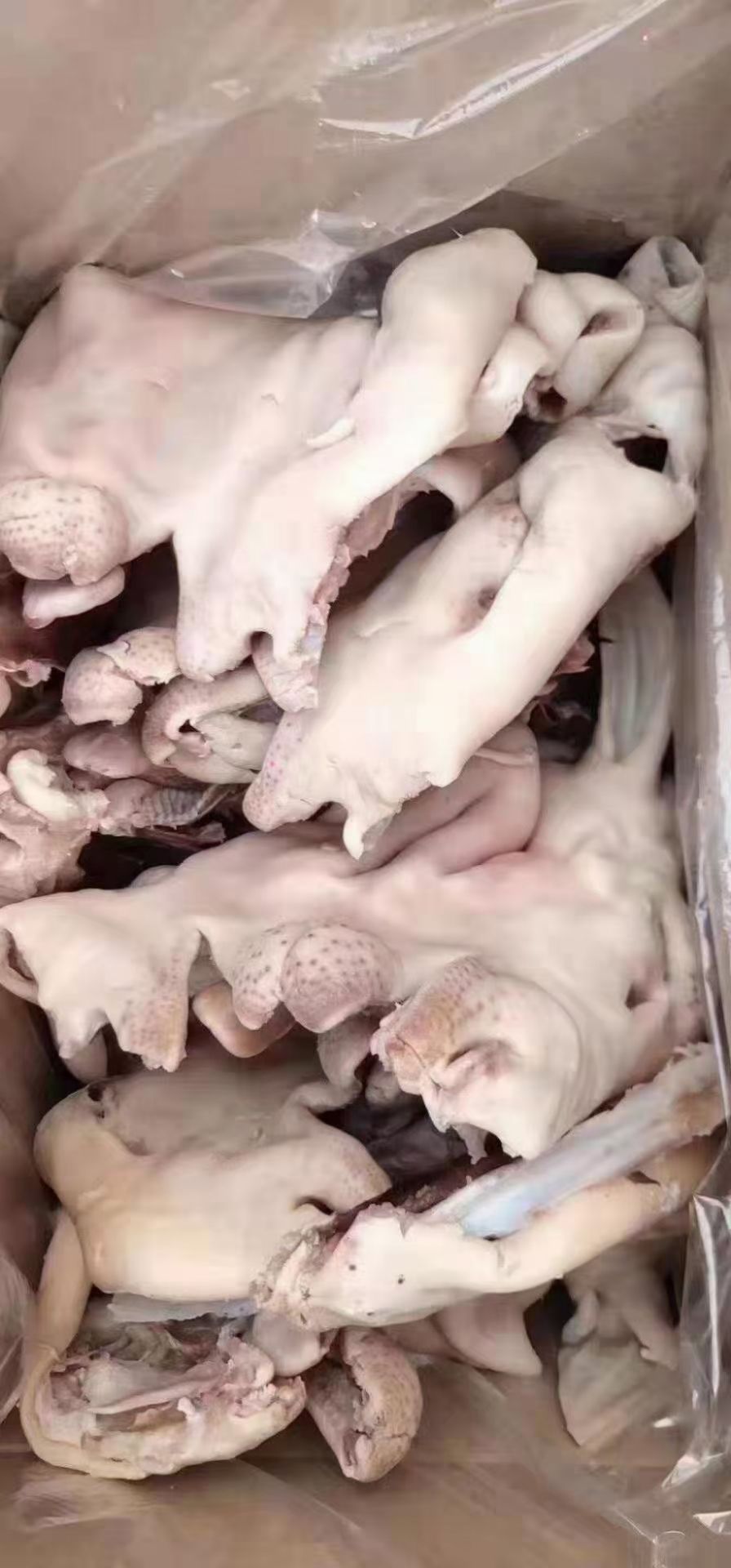 羊头肉 黑红花白头 可定制