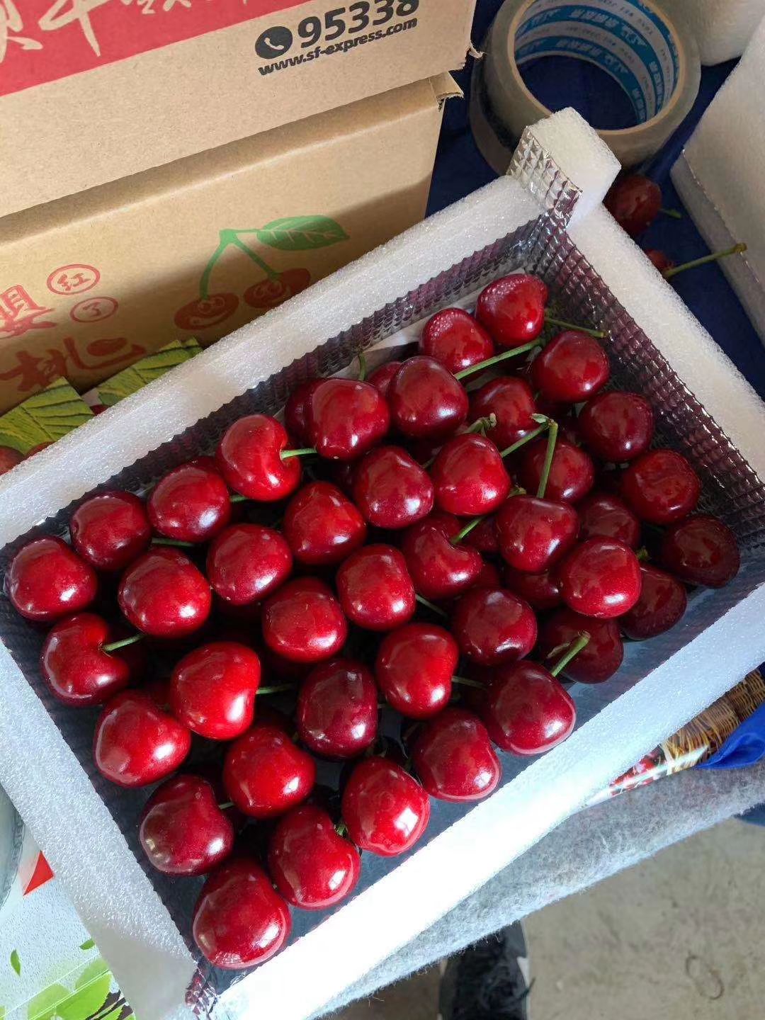 红灯樱桃 露天大樱桃